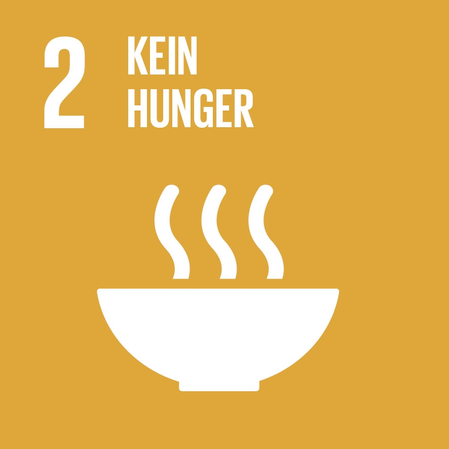 Sustainable Development Goal 2: Zero Hunger